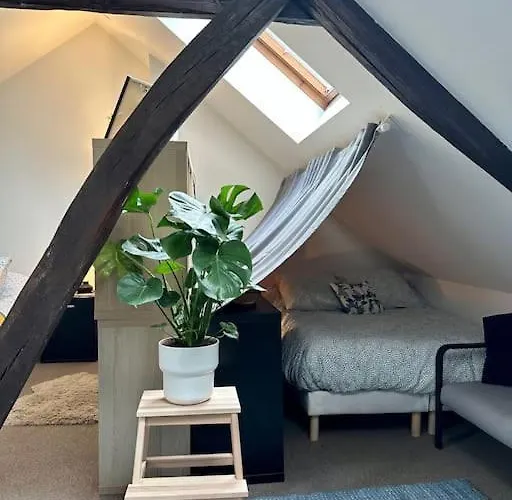 Apartamento Le Belly - Fontainebleau